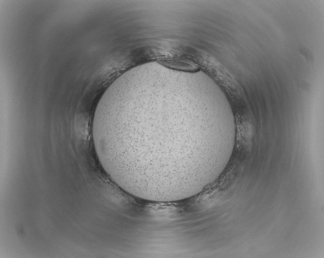 X0000115650331200912011527