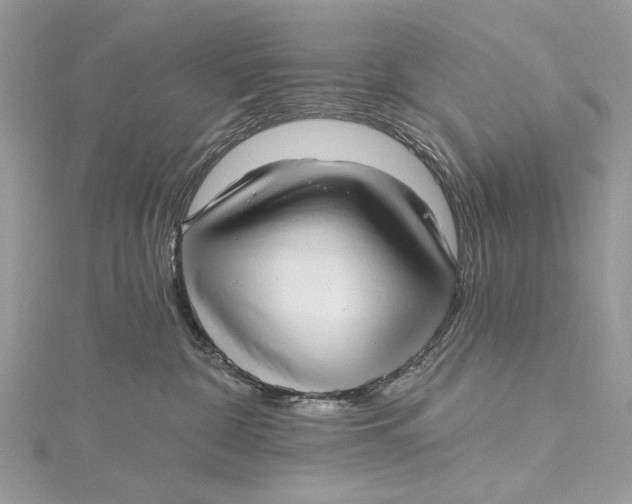 X0000115650332200912011527