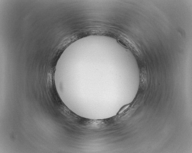 X0000115650333200912011527