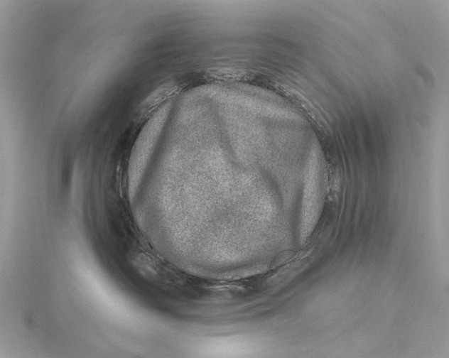 X0000115650334200912011527