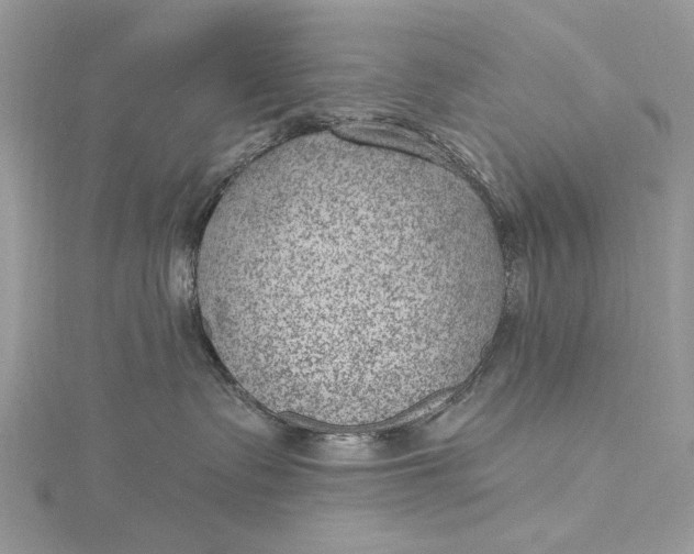 X0000115650335200912011527