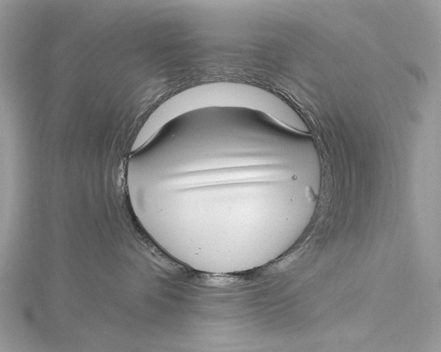 X0000115650336200912011527