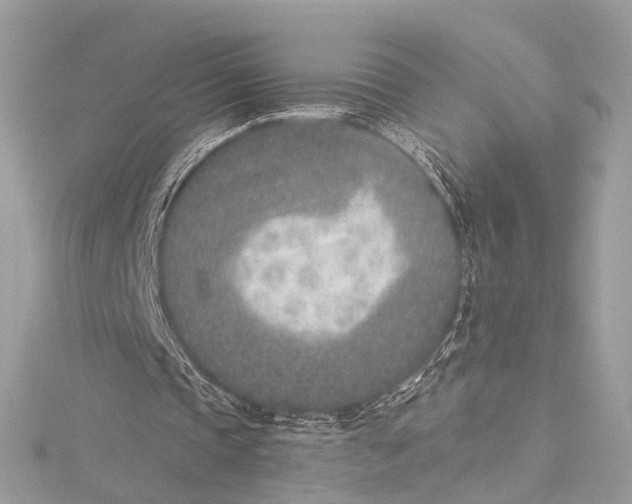 X0000115650337200912011527