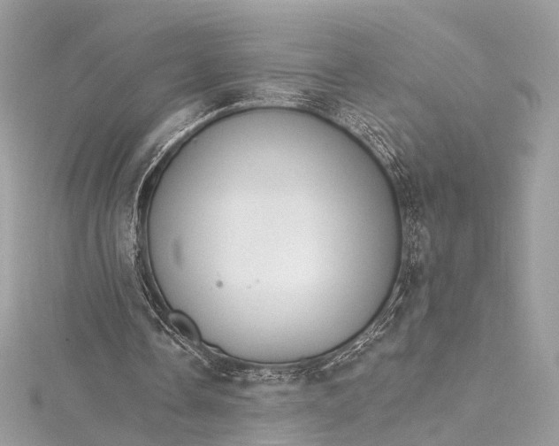 X0000115650338200912011527