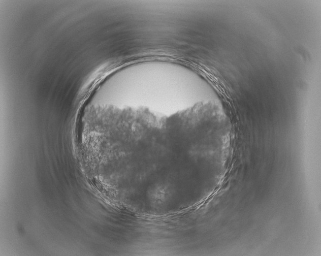 X0000115650339200912011527