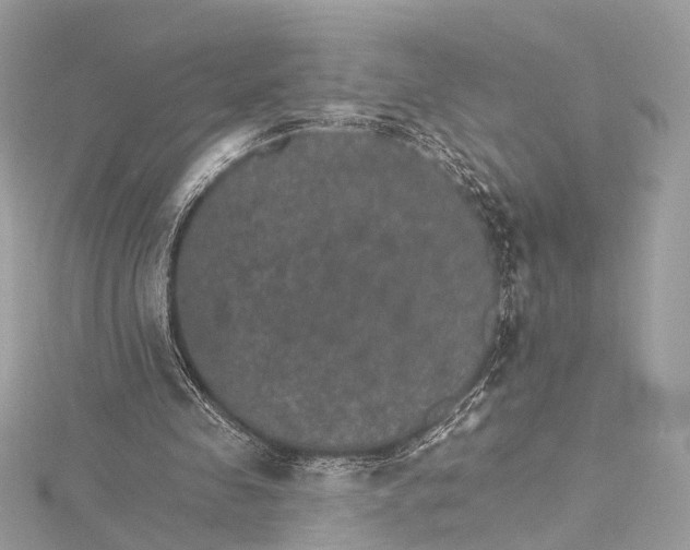 X0000115650341200912011527