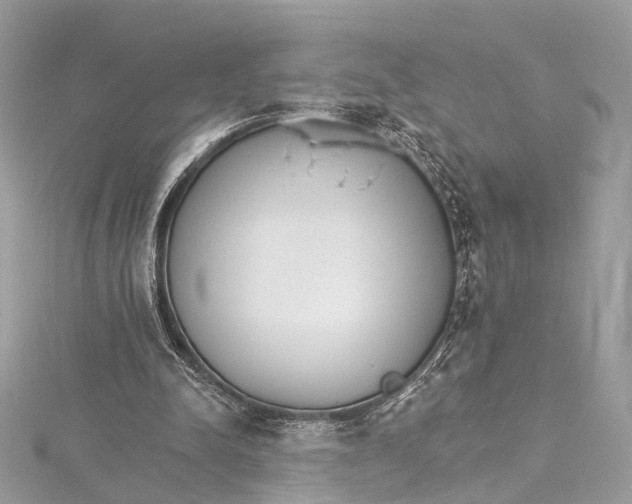 X0000115650342200912011527