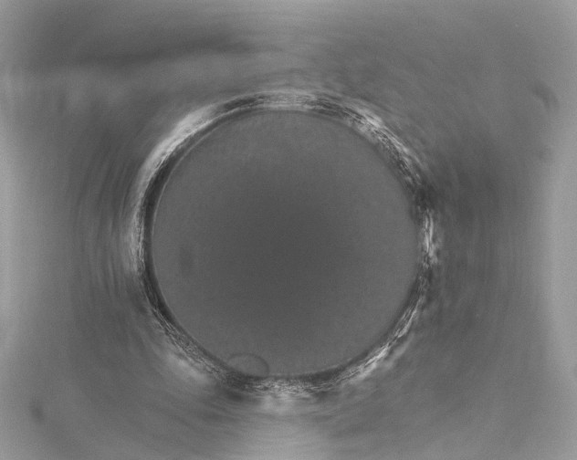 X0000115650343200912011527