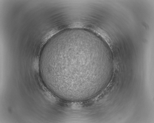 X0000115650345200912011527