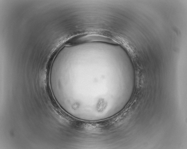 X0000115650346200912011527