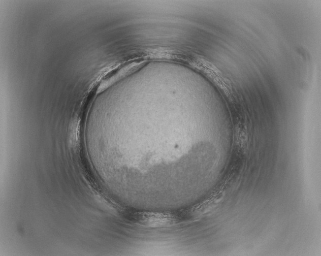 X0000115650347200912011527