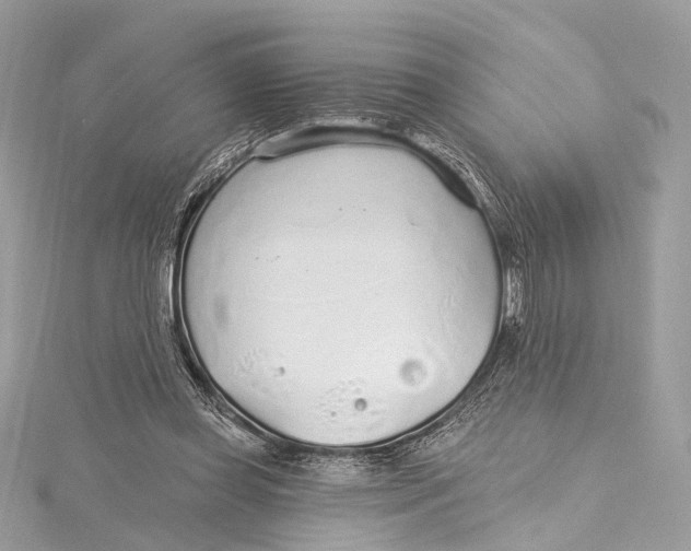 X0000115650349200912011527