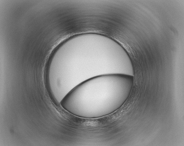 X0000115650350200912011527