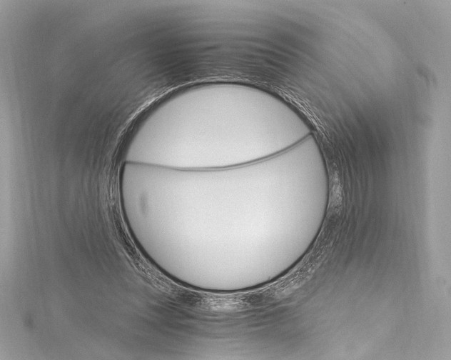 X0000115650351200912011527