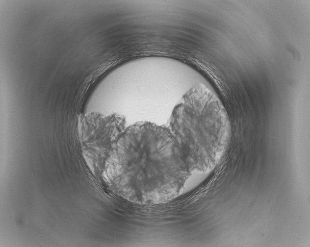 X0000115650353200912011527