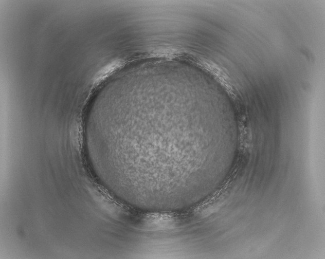 X0000115650354200912011527