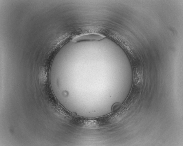 X0000115650355200912011527