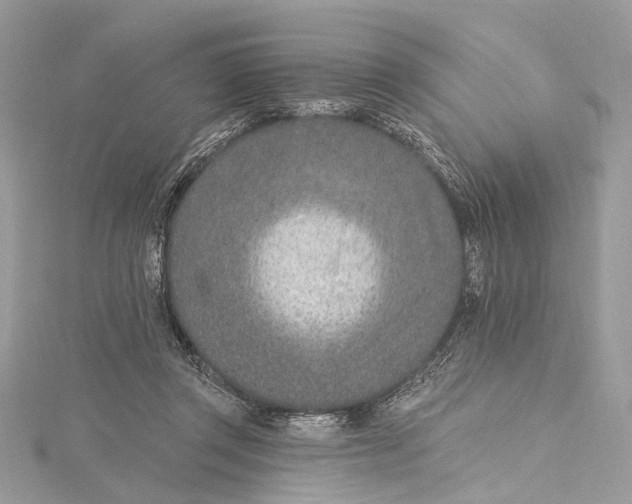 X0000115650357200912011527