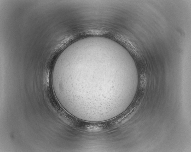 X0000115650358200912011527