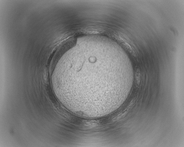 X0000115650359200912011527