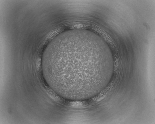 X0000115650361200912011527