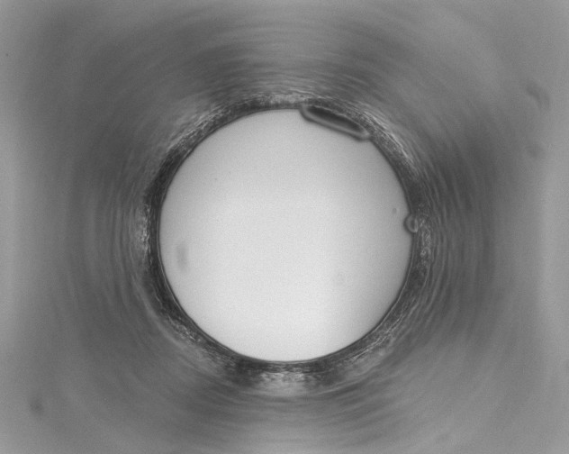 X0000115650362200912011527