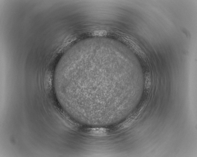 X0000115650363200912011527