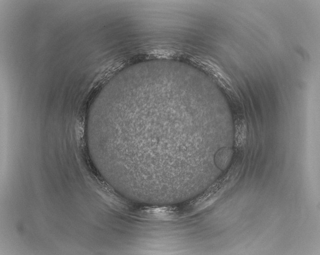 X0000115650365200912011527