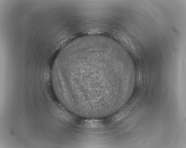 X0000115650367200912011527