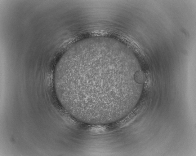 X0000115650369200912011527