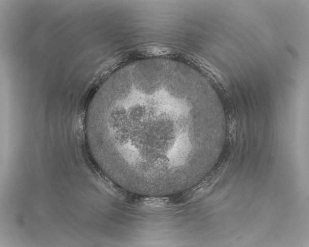 X0000115650373200912011527