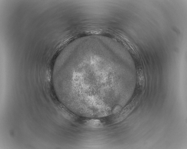 X0000115650374200912011527