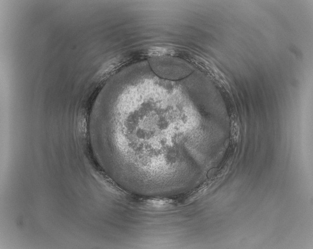 X0000115650375200912011527