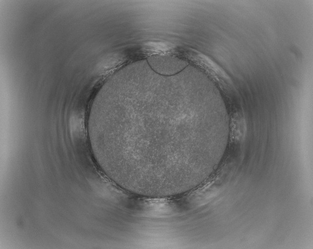 X0000115650377200912011527