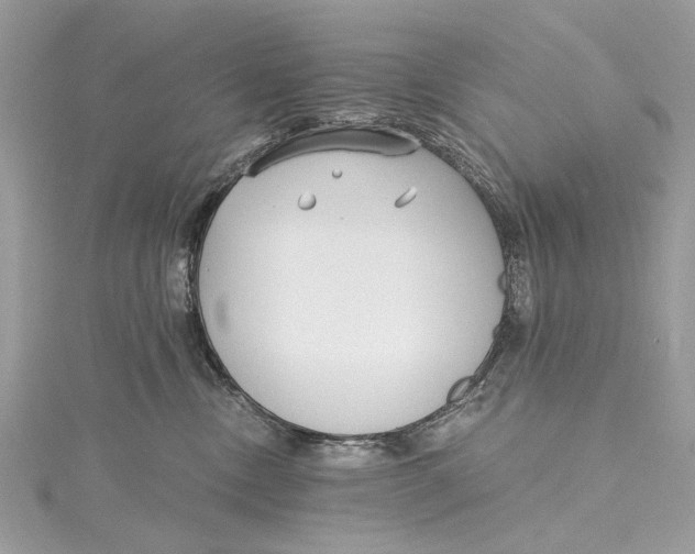 X0000115650378200912011527