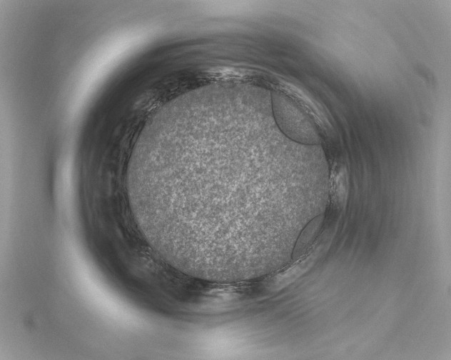 X0000115650381200912011527