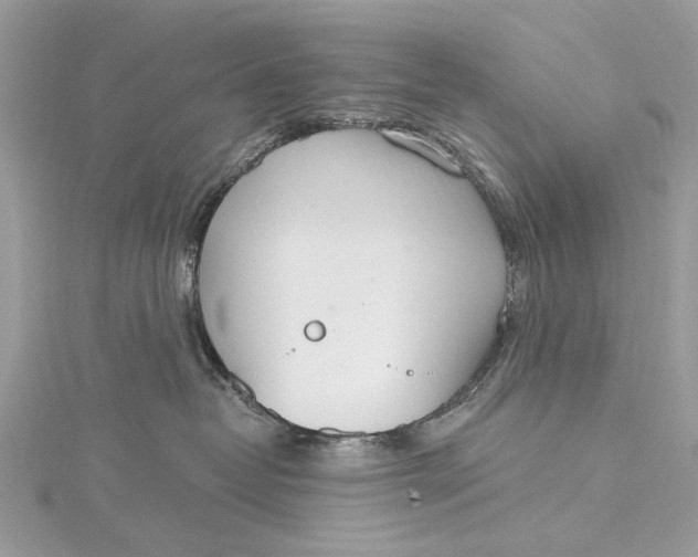 X0000115650382200912011527