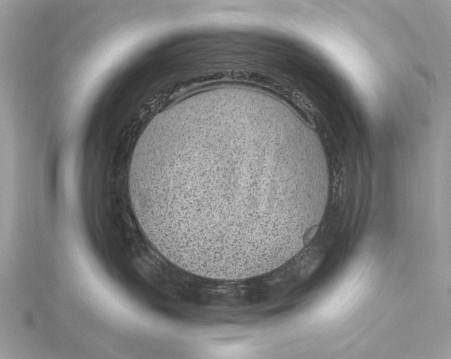 X0000115650383200912011527