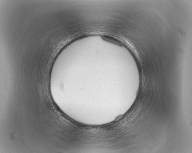 X0000115650385200912011527