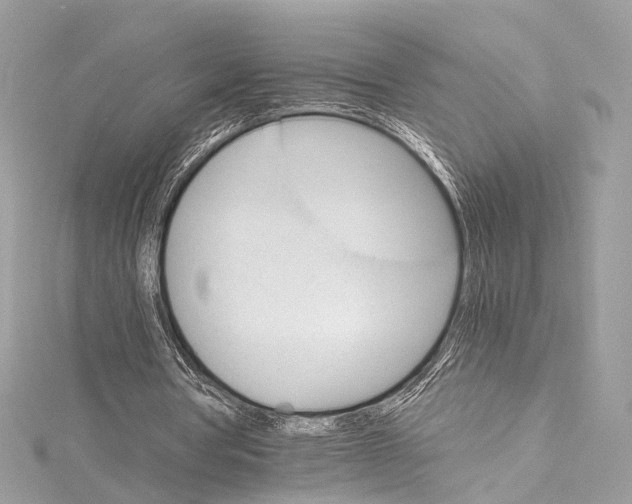 X0000115650386200912011527