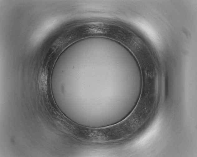 X0000115650387200912011527