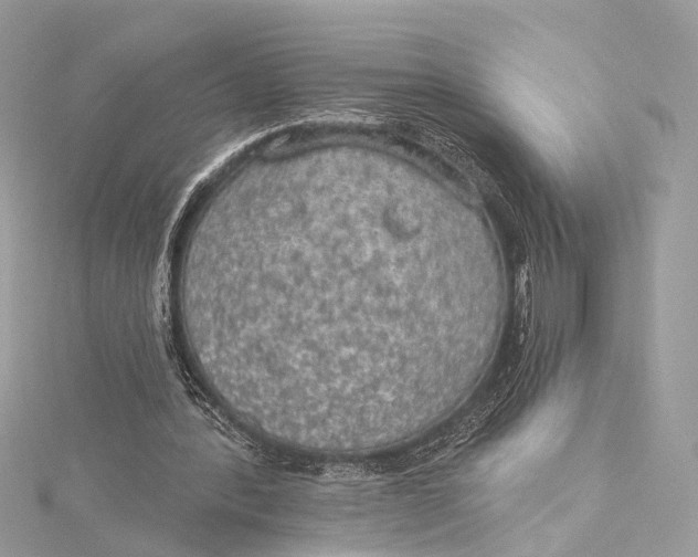 X0000115650388200912011527