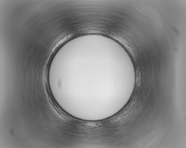 X0000115650390200912011527