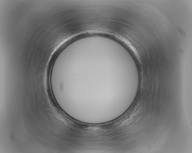 X0000115650391200912011527