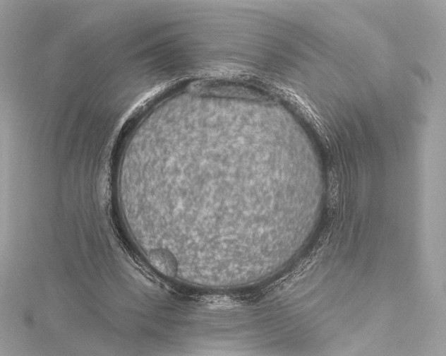 X0000115650392200912011526