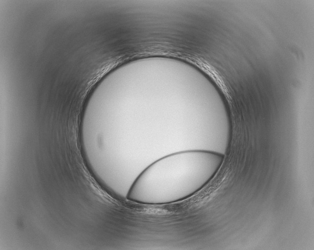 X0000115650393200912011526