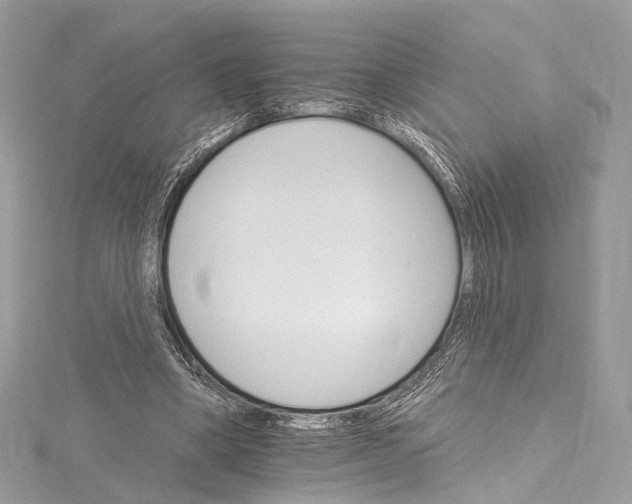 X0000115650394200912011526