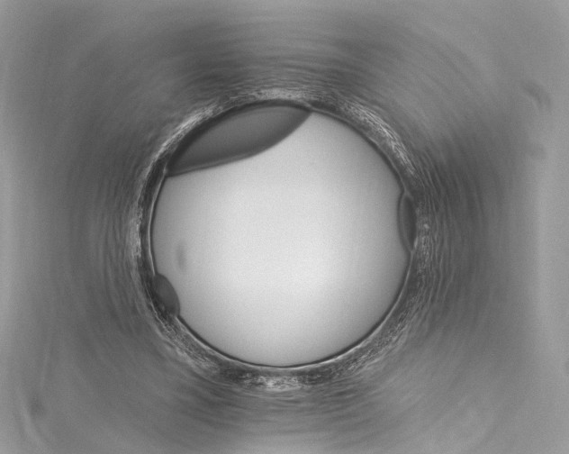 X0000115650395200912011526