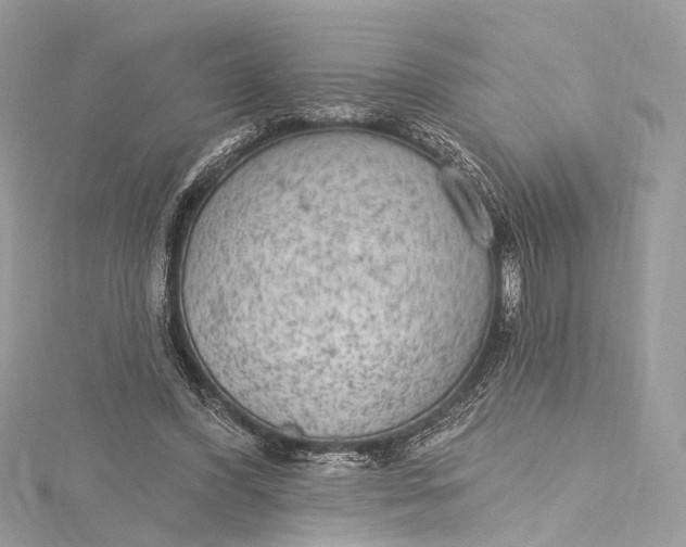 X0000115650396200912011526