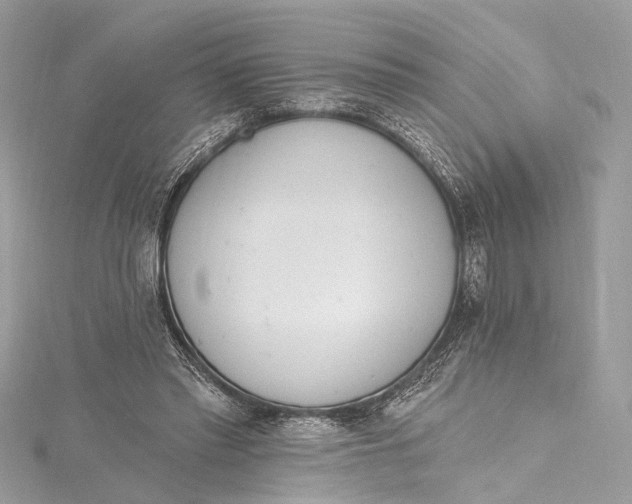 X0000115650397200912011526